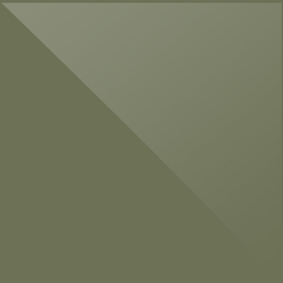 verde-militare-lucido